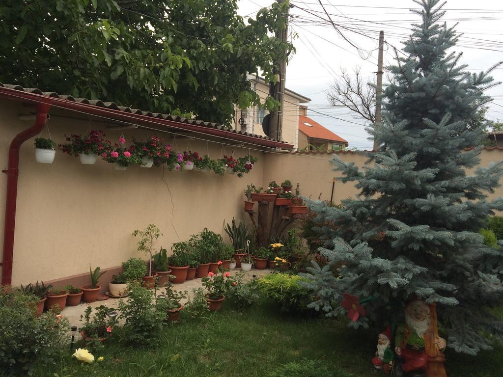 فندق Casa Litoral كونستانتا المظهر الخارجي الصورة
