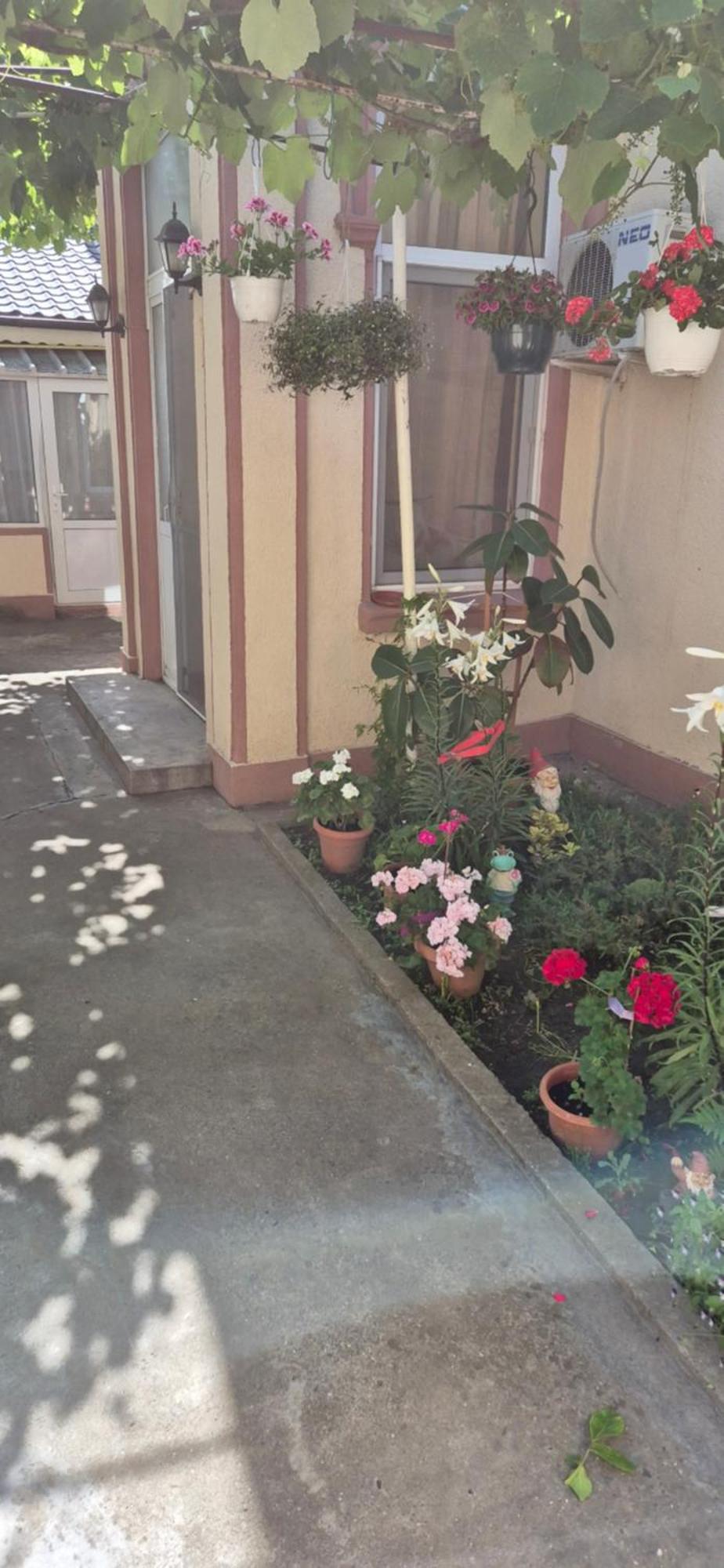 فندق Casa Litoral كونستانتا المظهر الخارجي الصورة