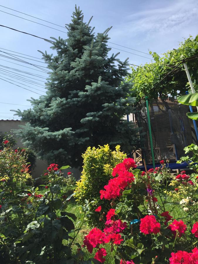 فندق Casa Litoral كونستانتا المظهر الخارجي الصورة